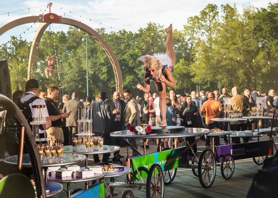 Cirque Mechanics jungle events setup.