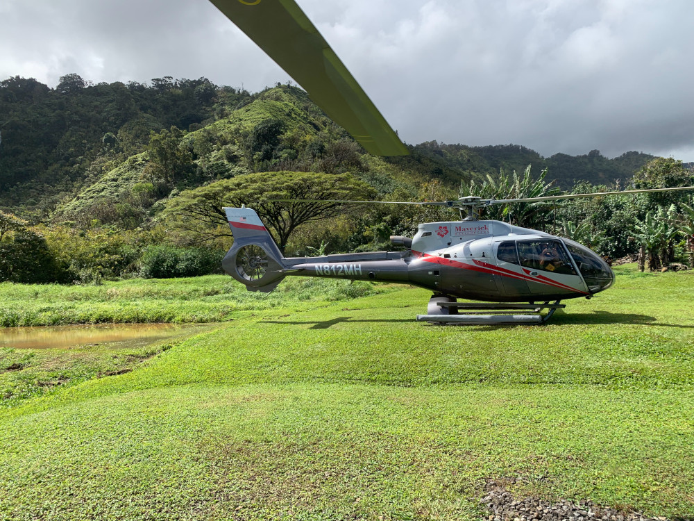 Landing in Hana Rainforest with Maverick Helicopters