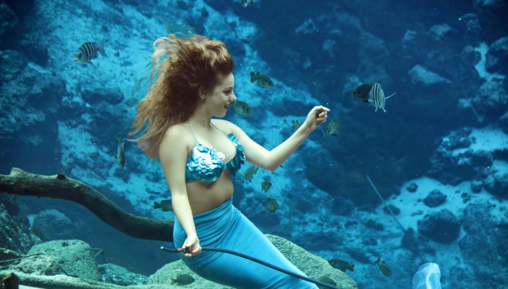 Caption: Weeki Wachee Springs State Park is famous for its unique mermaid attraction.
