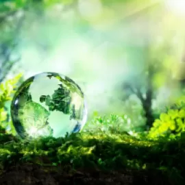 Globe surrounded by greenery
