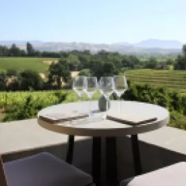 Four wine glasses and a table overlooking a vineyard in Healdsburg